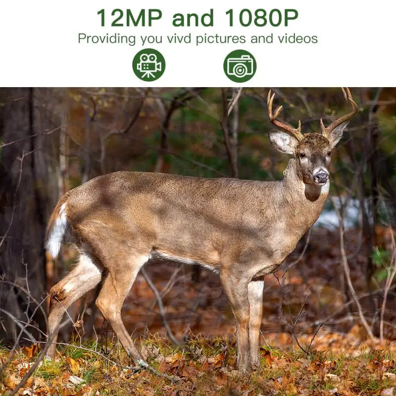 Outdoor Cellular Trail Cameras Wild Trap Game