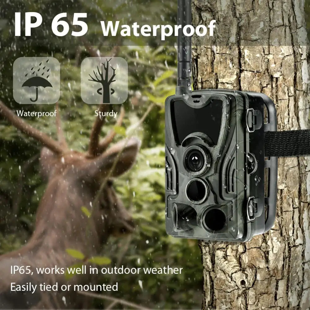 Wildlife Trail Camera